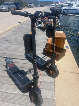 Land Transportation